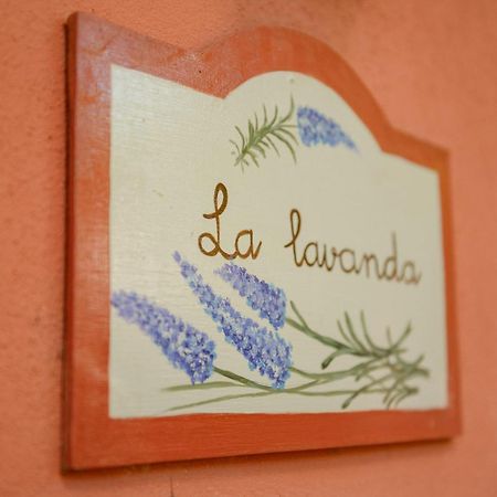 Homeforguest Cosy Rural Flat La Lavanda Surrounded By Nature กาโกรอนเต ภายนอก รูปภาพ