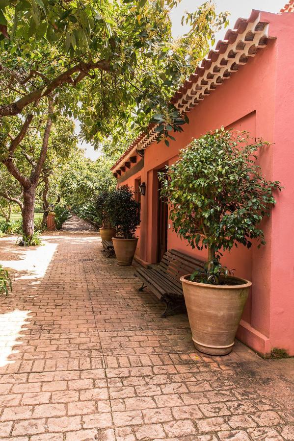 Homeforguest Cosy Rural Flat La Lavanda Surrounded By Nature กาโกรอนเต ภายนอก รูปภาพ