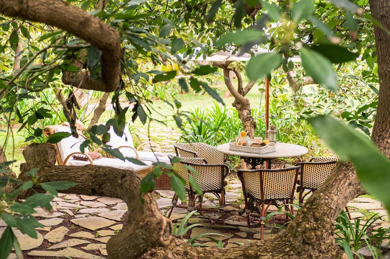Homeforguest Cosy Rural Flat La Lavanda Surrounded By Nature กาโกรอนเต ภายนอก รูปภาพ